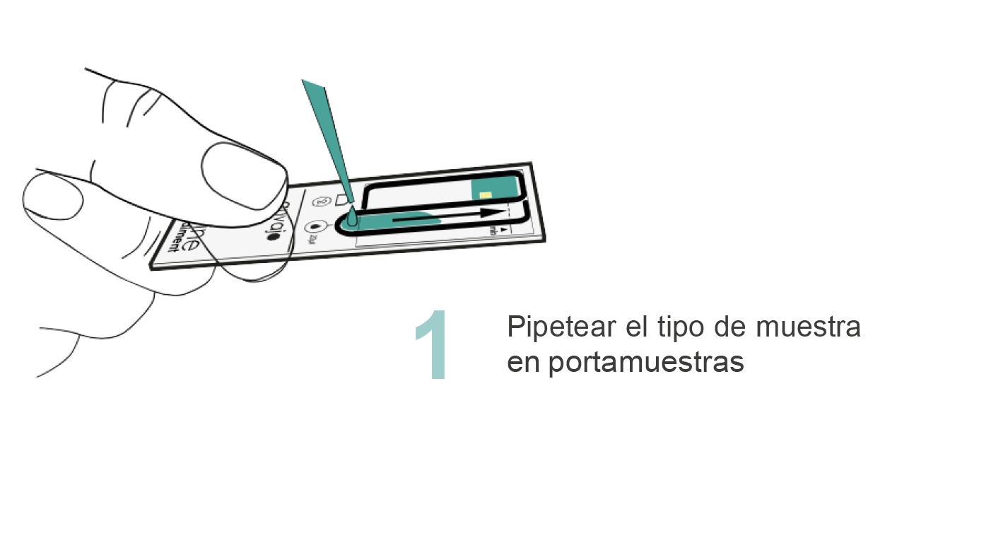 paso_1
