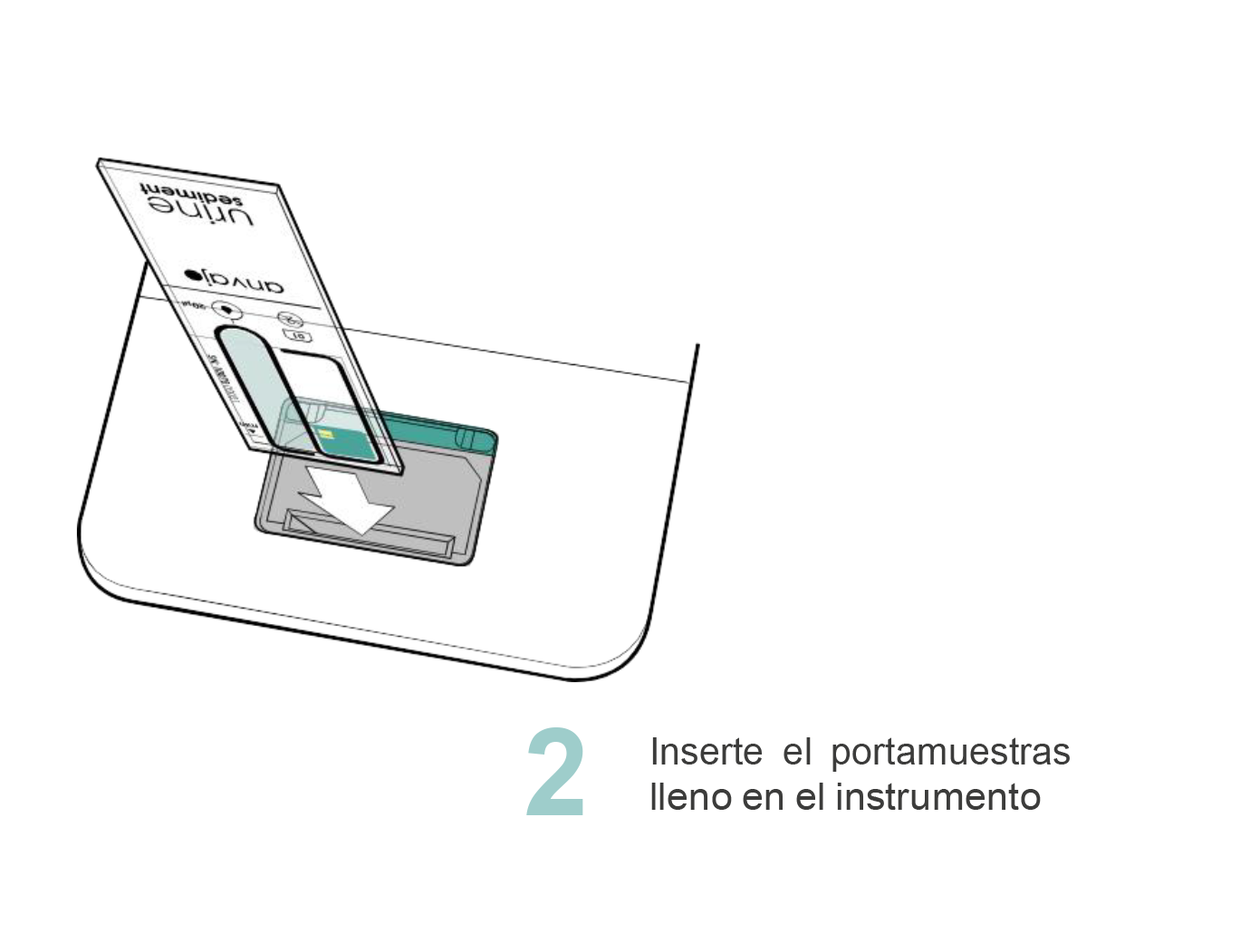 paso_2